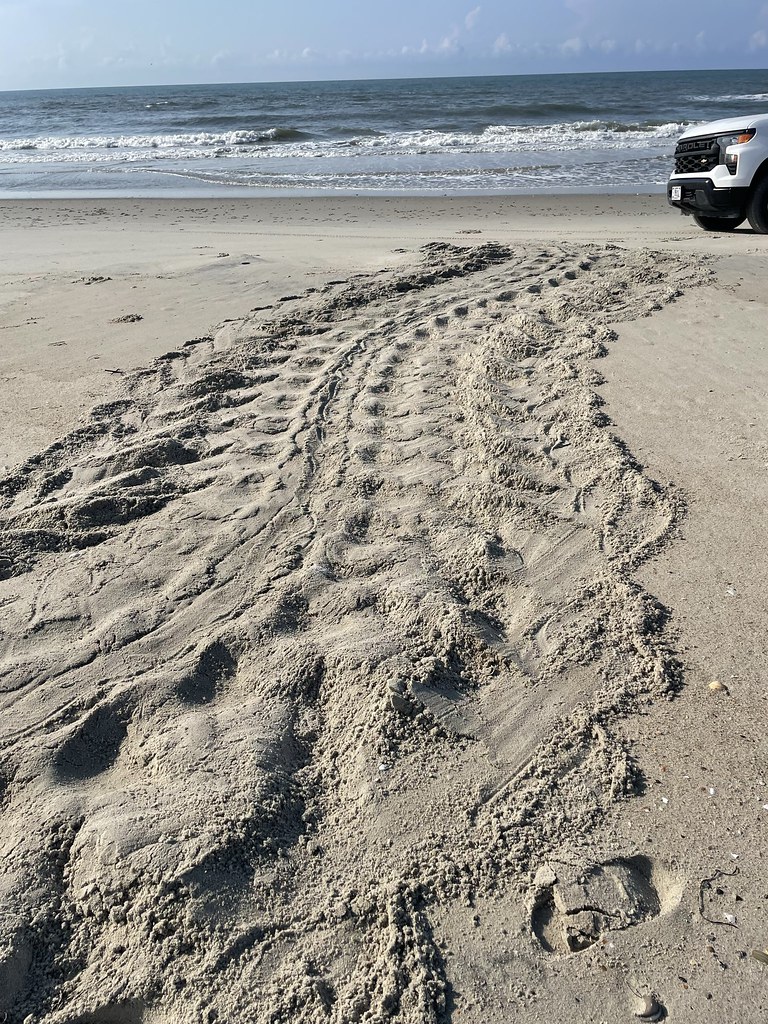 Sahilde kumda araç ve ayak izleriyle offroad anı ve masmavi deniz manzarası