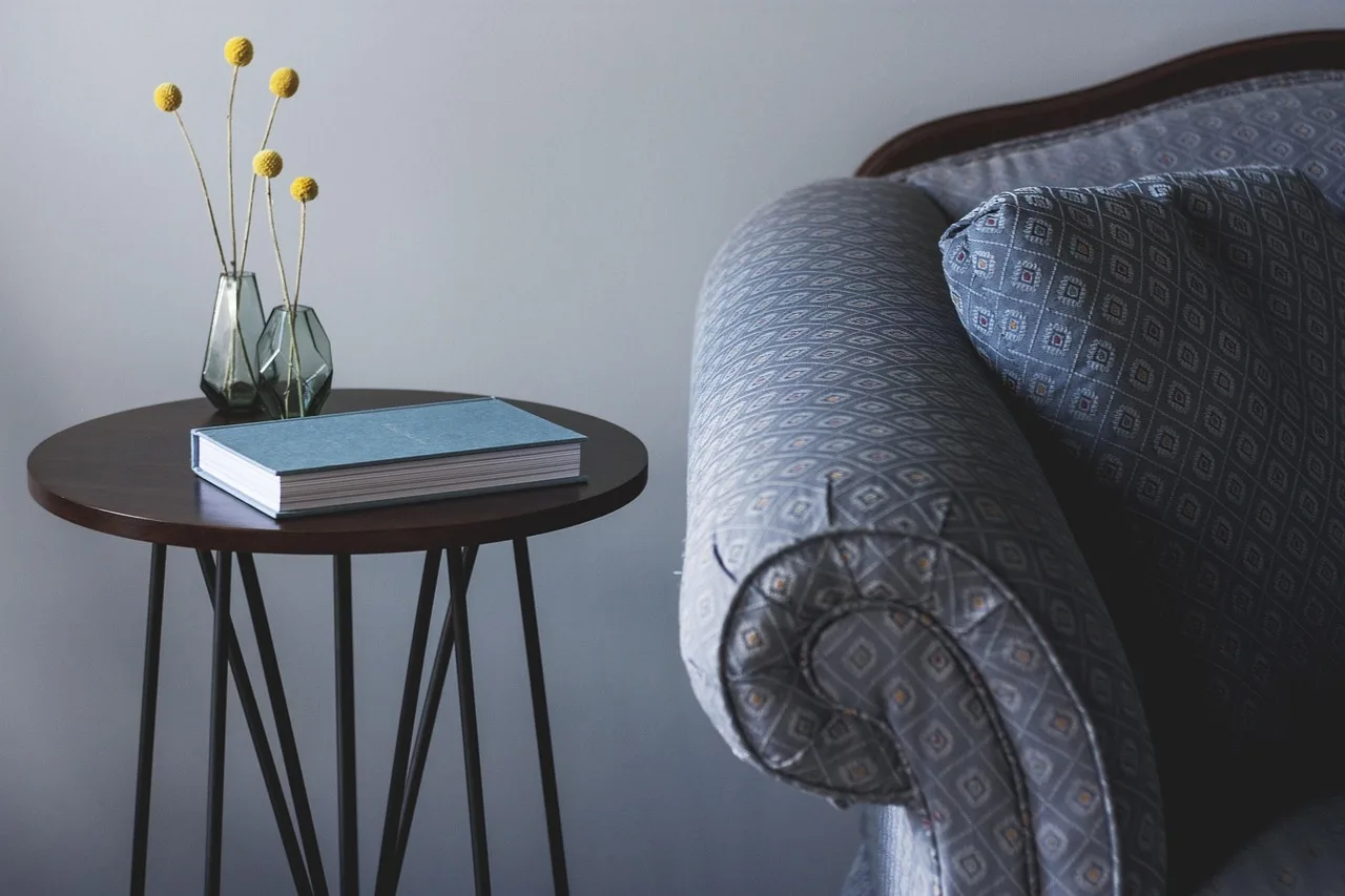 Salon koltuğu ve yan sehpa - modern oturma odası