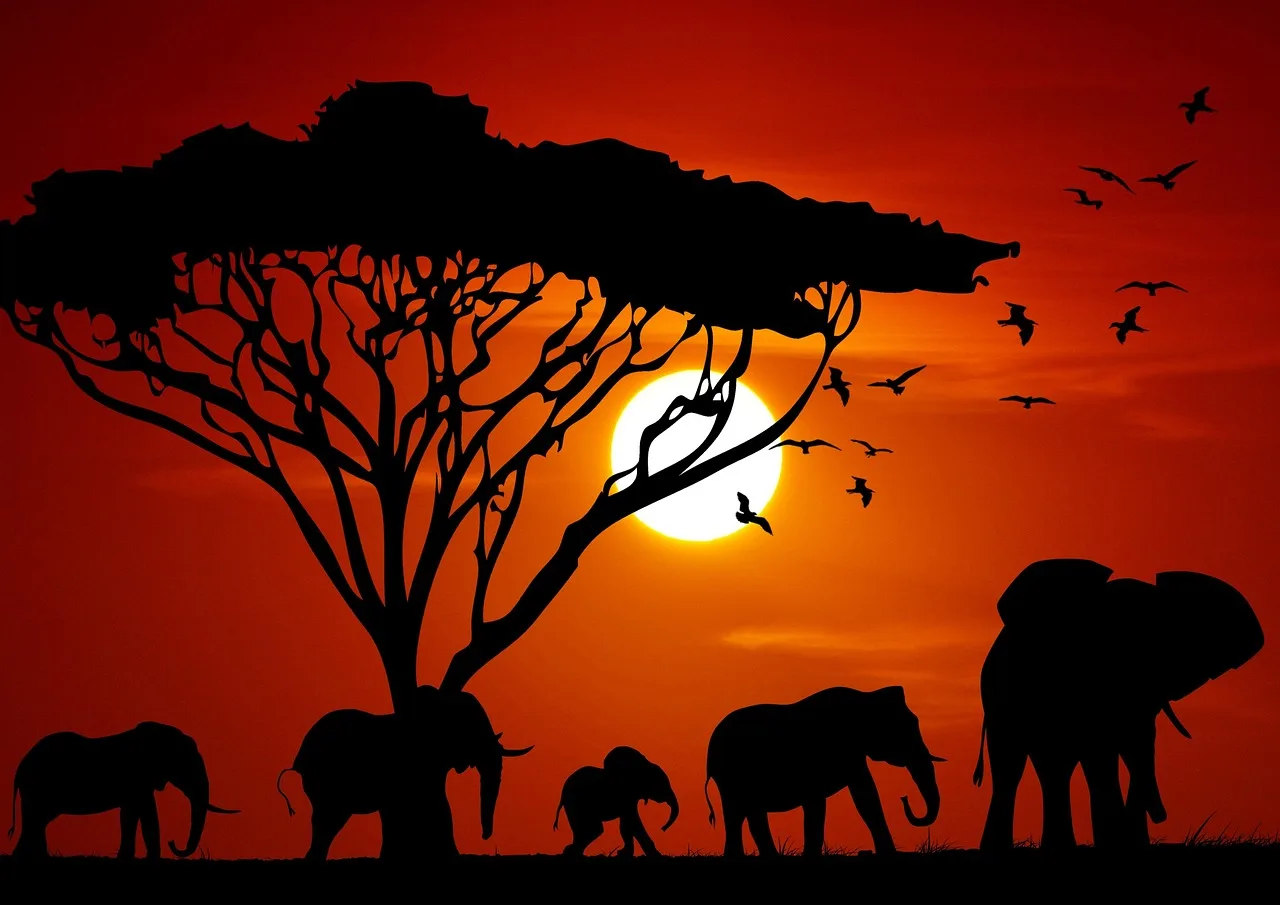 Serengeti gün batımında fildişi büyük fili sürüsü
