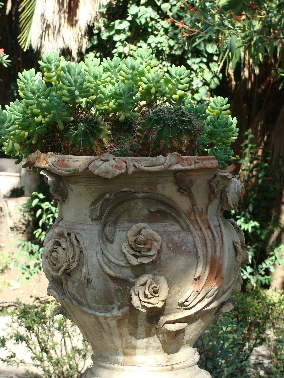 Sicilya bahçesinde seramik çömlek fotoğrafı
