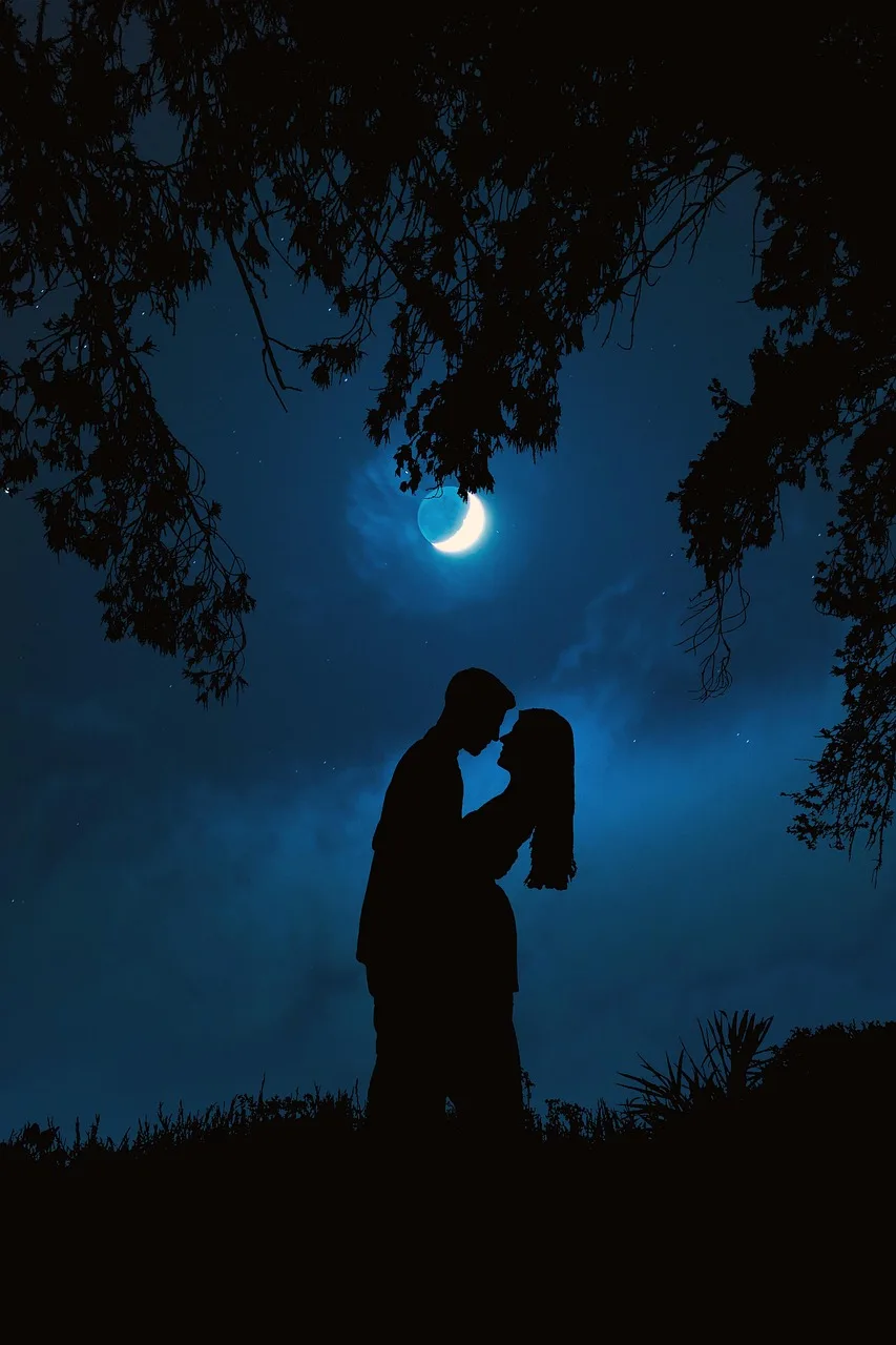 Silüetli çift gökyüzü altında - romantik gece