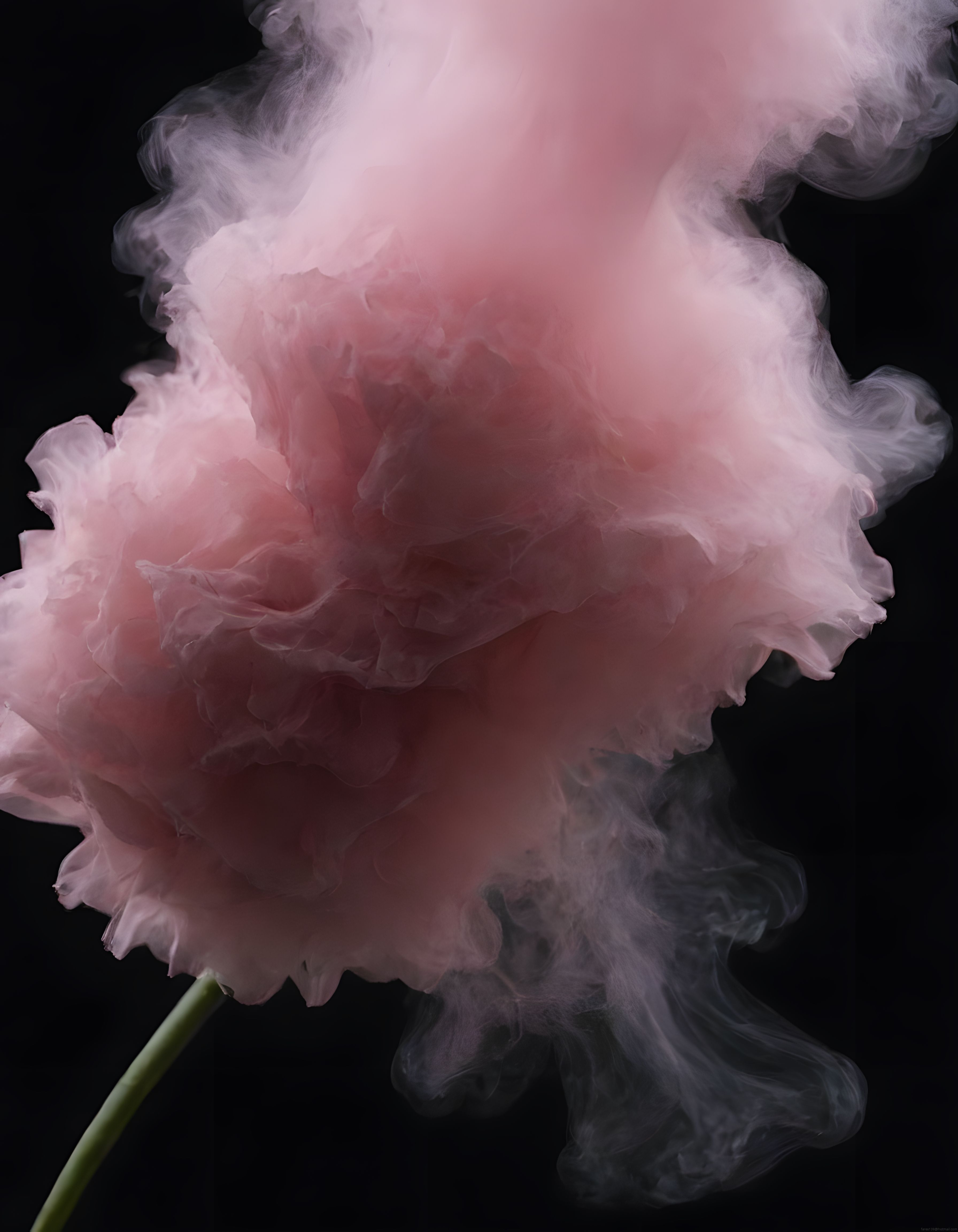 Siyah arka planda sanatsal pembe duman bulutu ve gizemli atmosfer