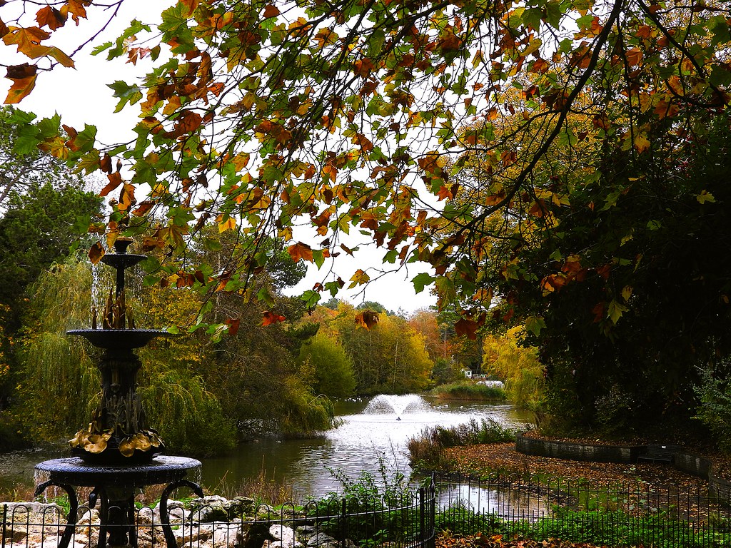 Sonbahar Renkleriyle Süslenmiş Huzurlu Park Gölü ve Fıskiye Manzarası
