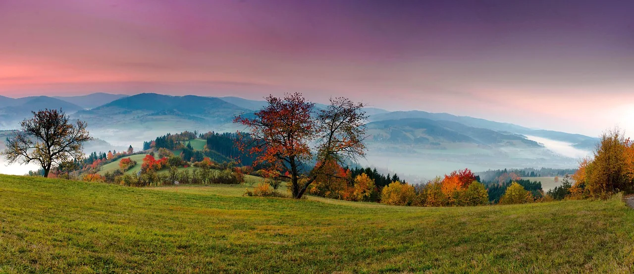 Sonbahar şafak manzaralı panoramik kır görüntüsü