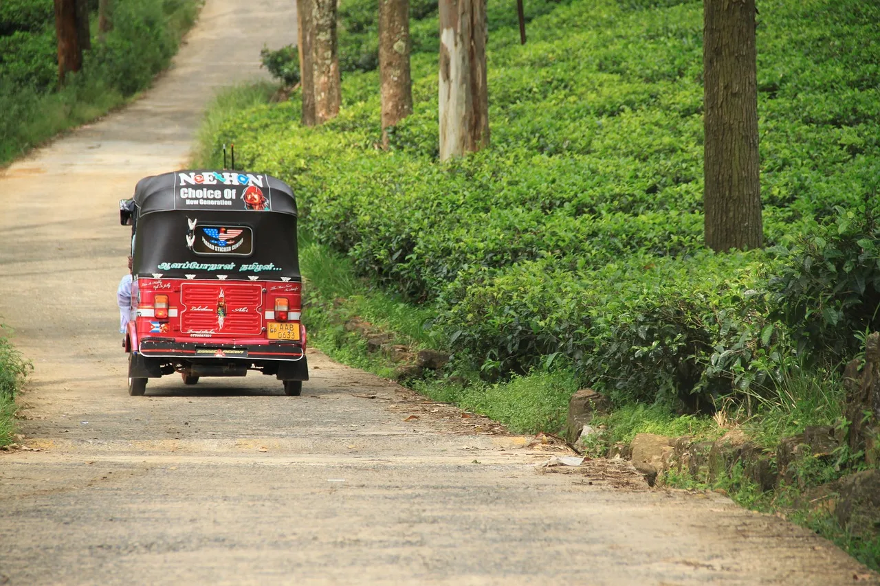 Sri Lanka tuk‑tuk turu - tropikal seyahat