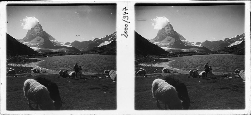 Stereoskopik Tarihi Karede Matterhorn, Göl Kıyısı ve Otlakta Koyunlar