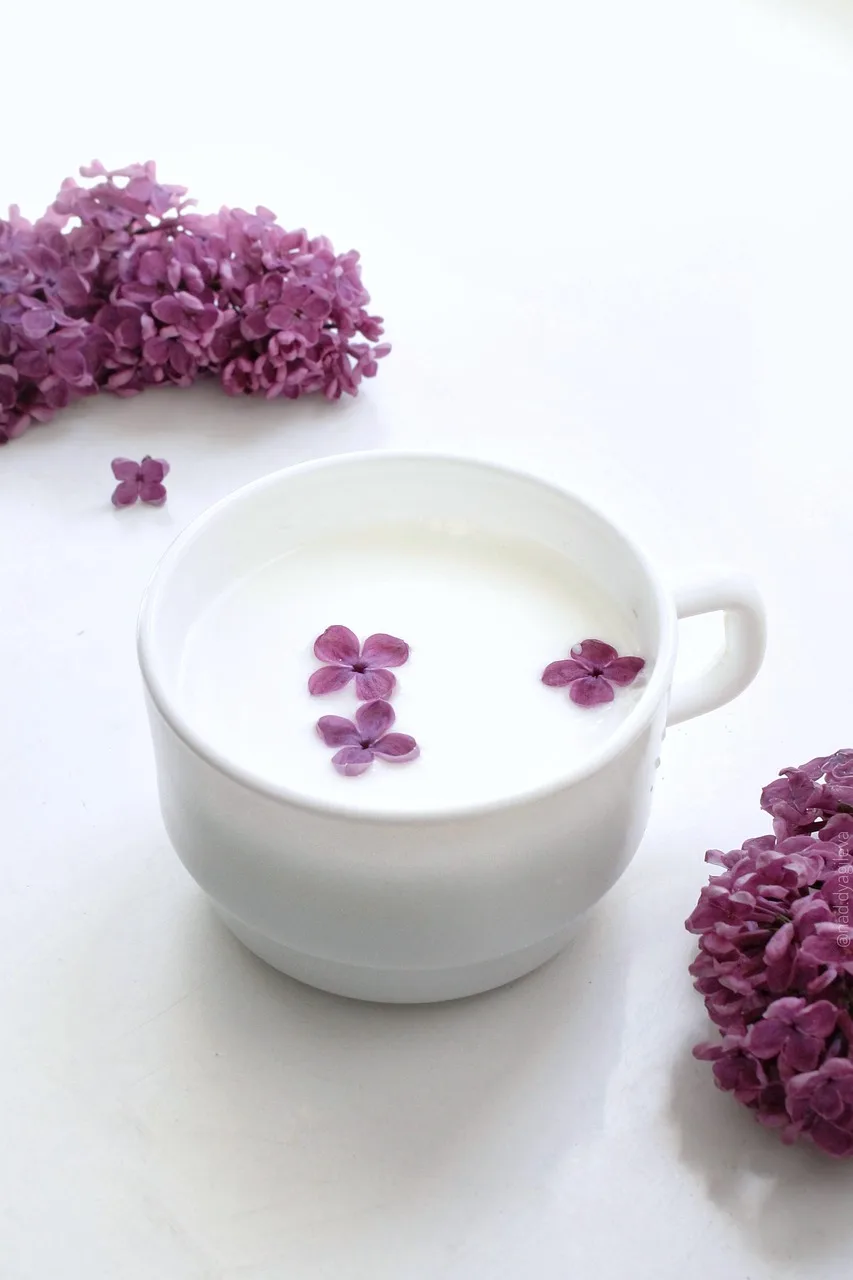 Süt ve menekşe çiçeği örtüsü - doğal still life