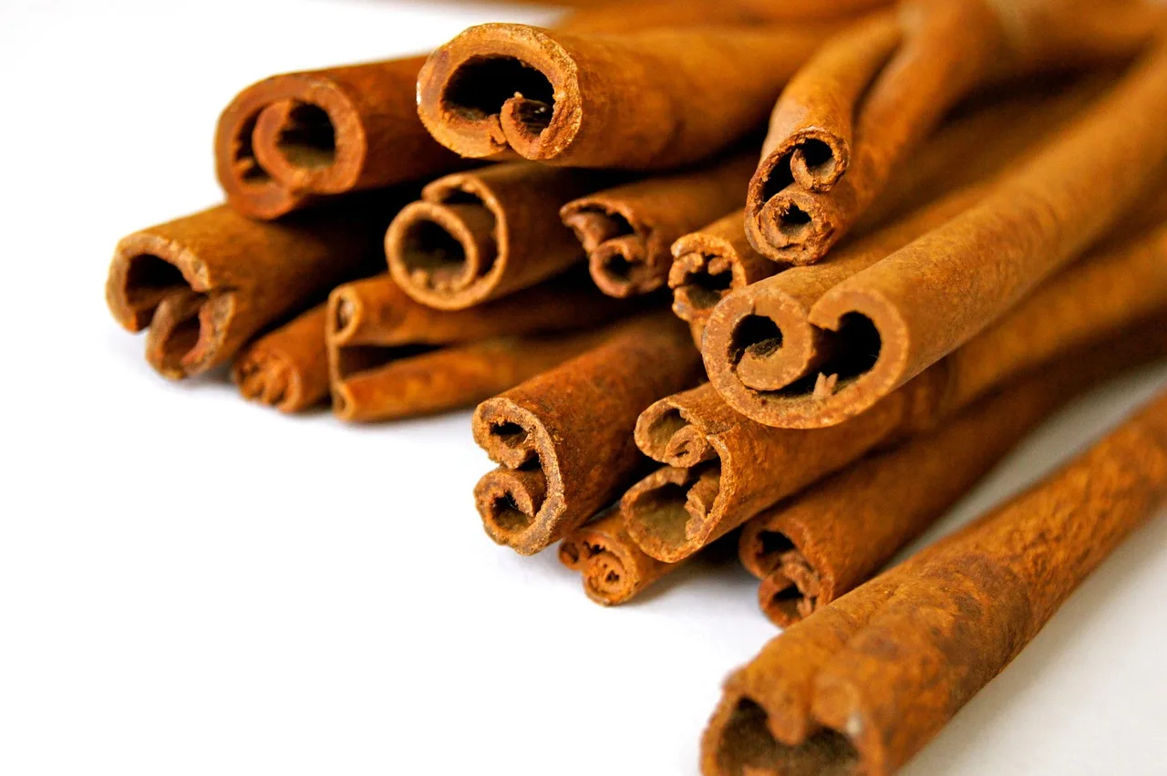 Tarçın çubuğu yakın plan fotoğrafı - aromatik baharat