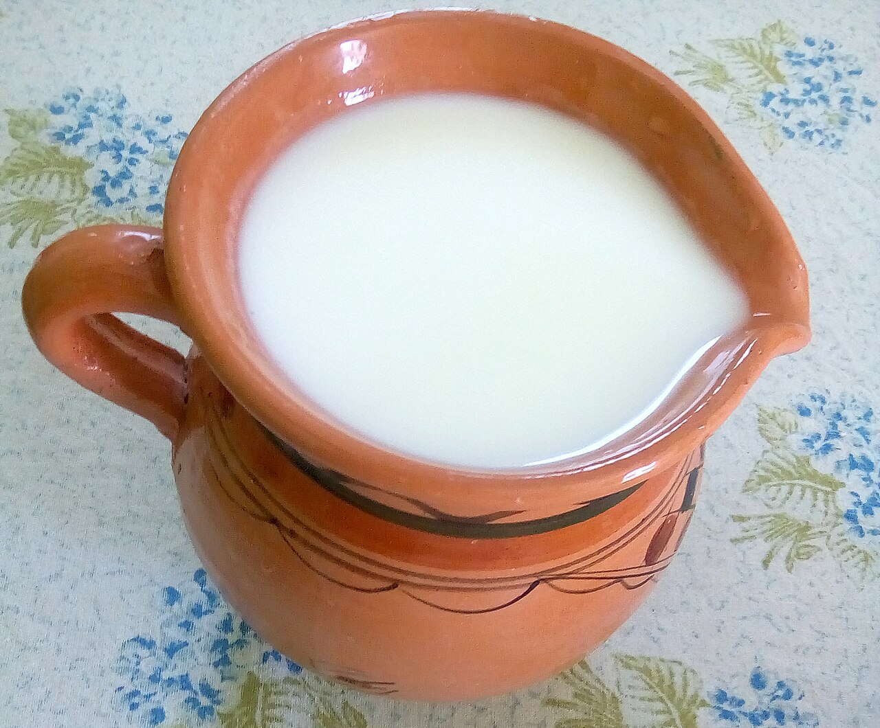 Leben (Orta Doğu Ekşi Süt İçeceği)