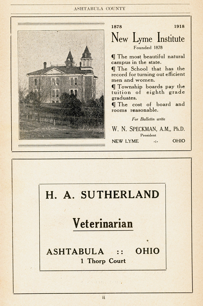 Tarihsel Ohio Gazete Sayfası: New Lyme Institute ve Veteriner Hekim İlanı, 1918