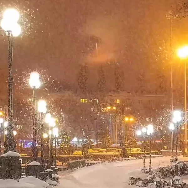 Tarık Ilgaz