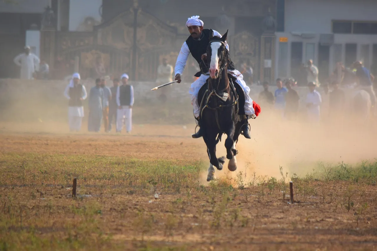 Tent pegging atlı spor müsabaka görüntüsü