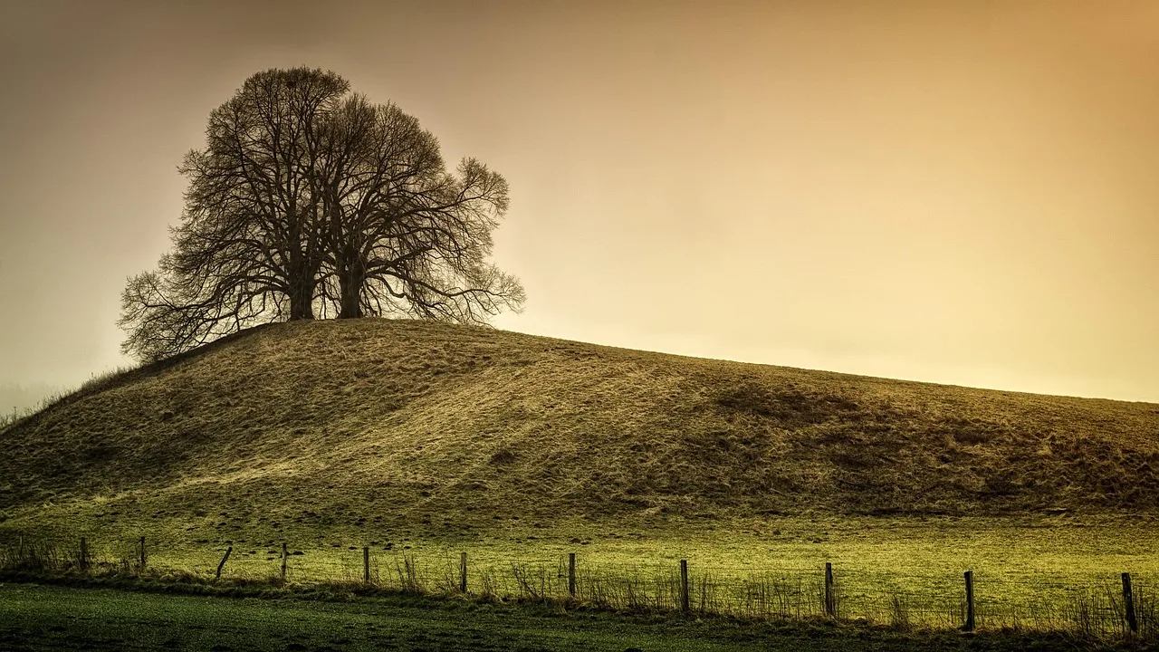 Tepe üzerindeki çayırda doğal peyzaj fotoğrafı