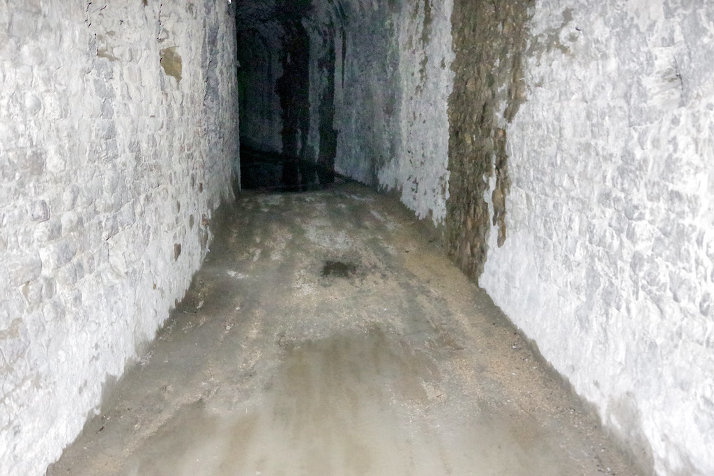 Terk Edilmiş Bir Yapının Rutubetli ve Dar İç Koridorundan Büyüleyici Görünüm