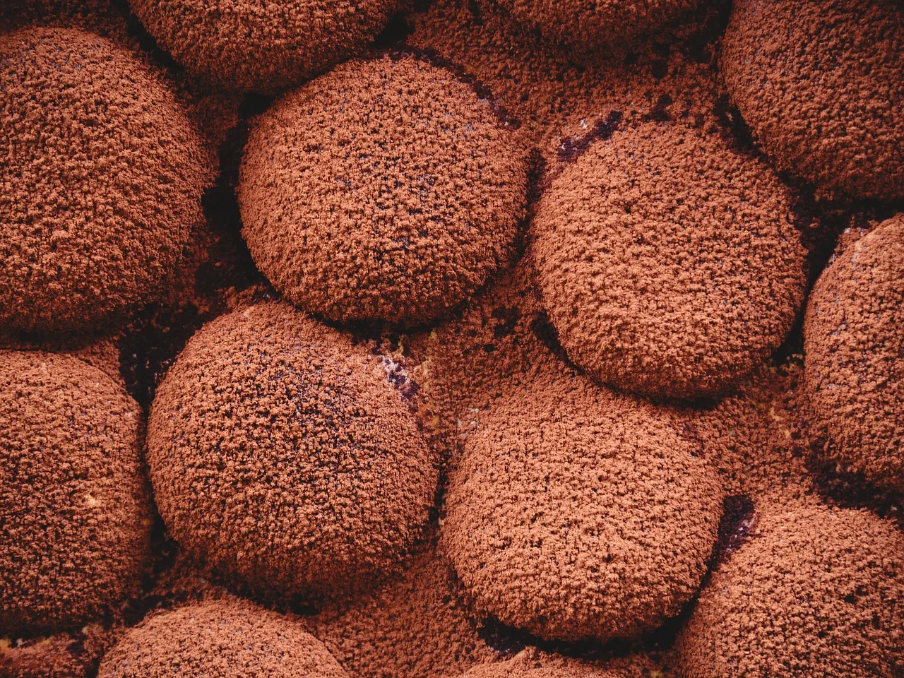 Tiramisu ev yapımı tatlı dilimi