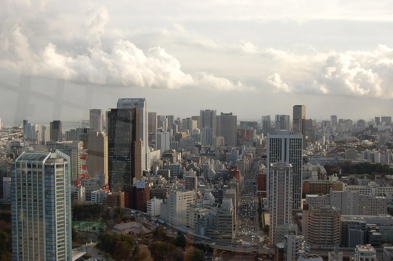 Tokyo şehir manzarası çatı üstü binalar