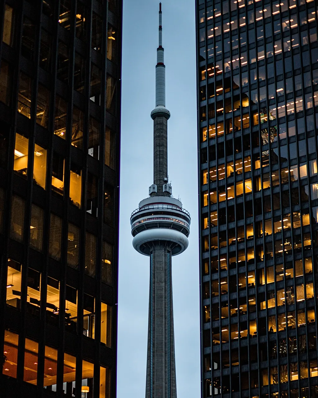 Toronto gökdelen silueti gece ışıkları - şehir manzarası