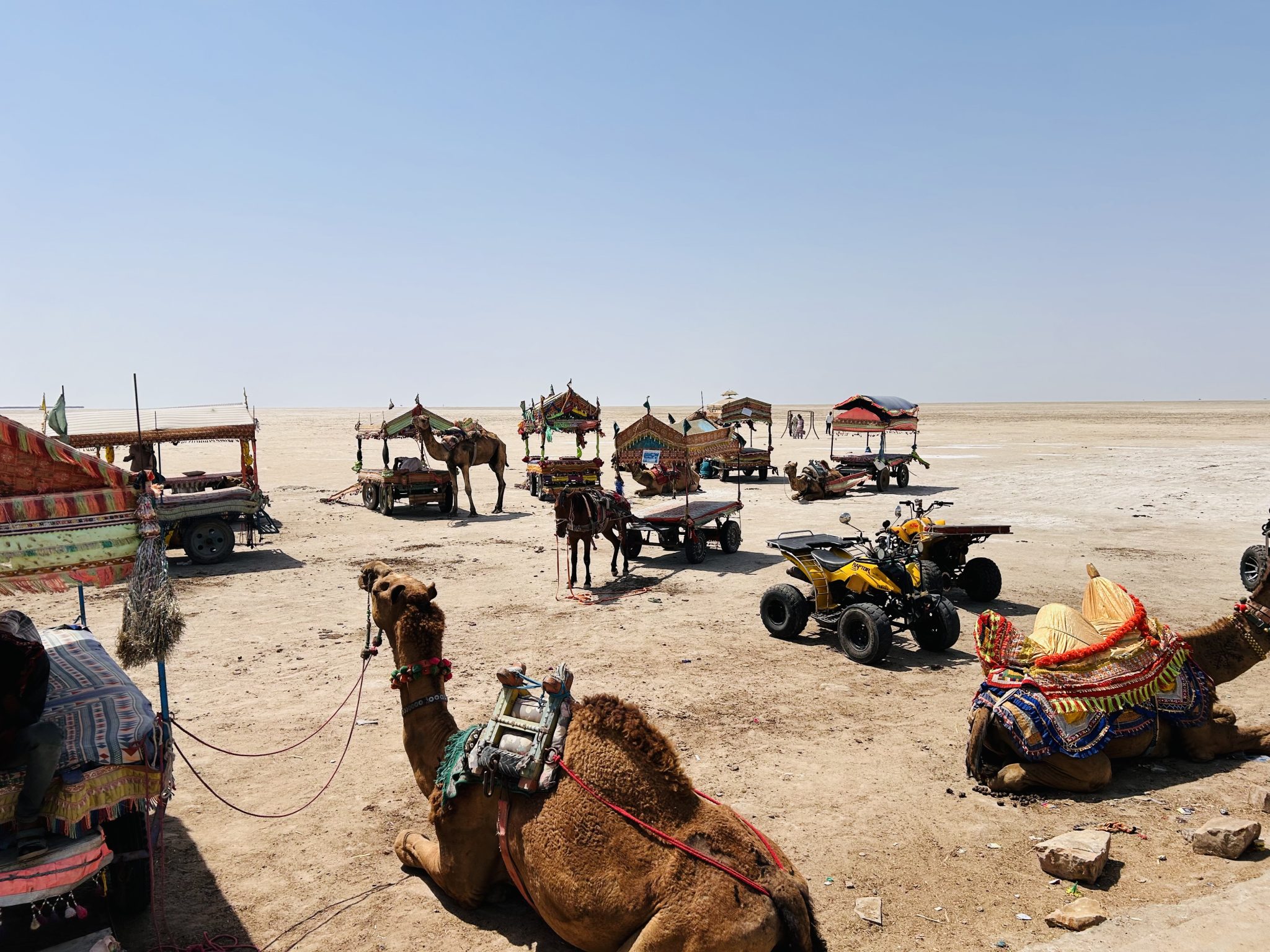 Tuz Çölünde Deve Turları ve ATV Safari ile Macera Dolu Bir Gün