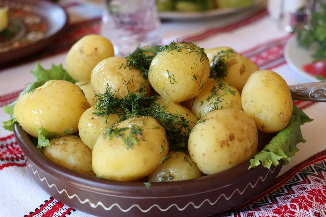 Ukrayna usulü dereotlu patates yemeği - sağlıklı yemek