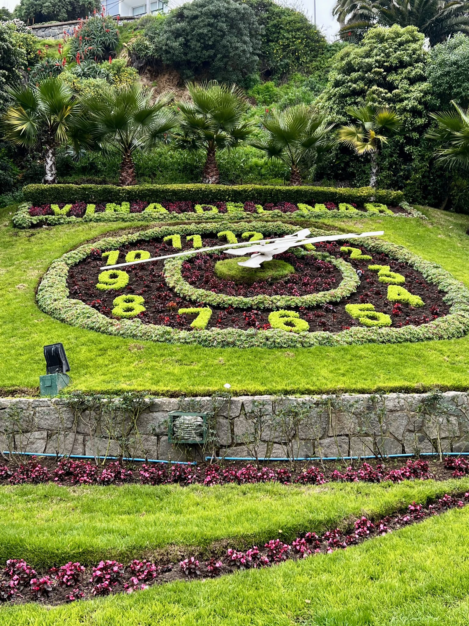 Viña del Mar Çiçek Saati: Şili'nin Ünlü Botanik Saati ve Bahçesi