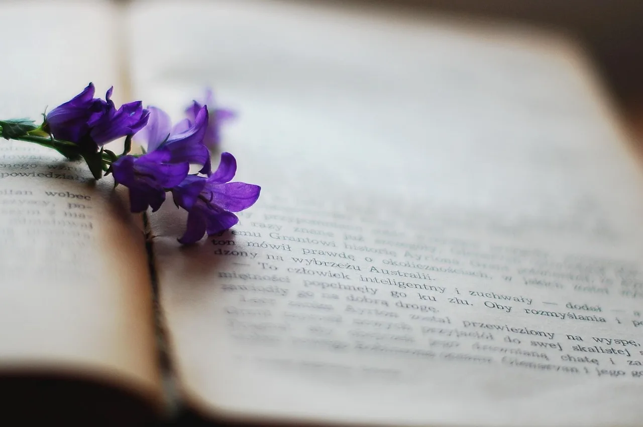 Viyole çiçekli eski kitap - doğa temalı fotoğraf