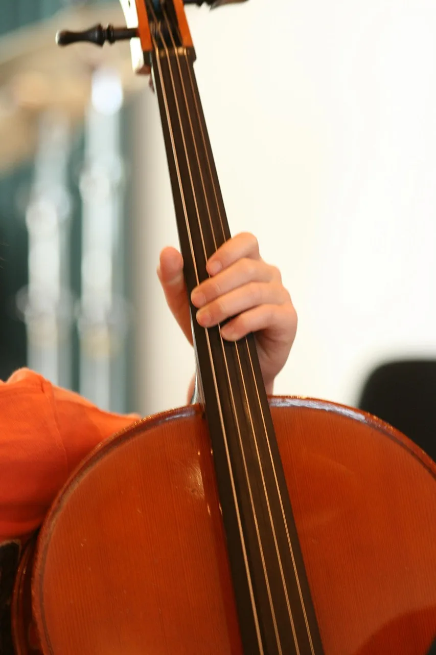 Viyolonsel çalan eller - klasik müzik enstrümanı