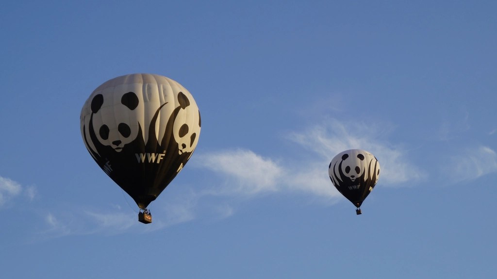 wwf panda logolu sıcak hava balonları masmavi gökyüzünde huzurla yükseliyor