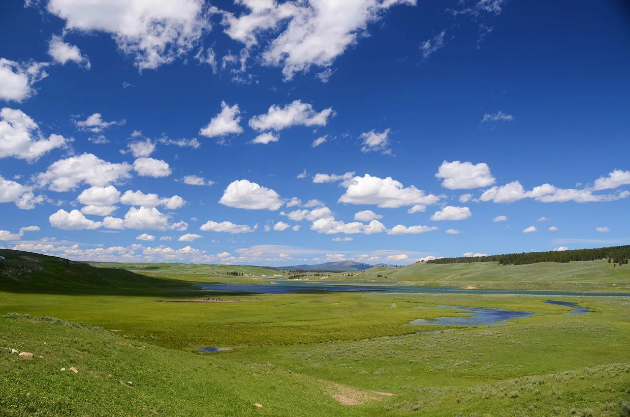 Wyoming vadisi çayır manzarası - geniş doğa görüntüsü