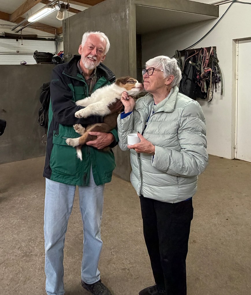 Yaşlı çiftin ahırda yavru köpekle gözlerden uzak sevgi dolu mutlu anları