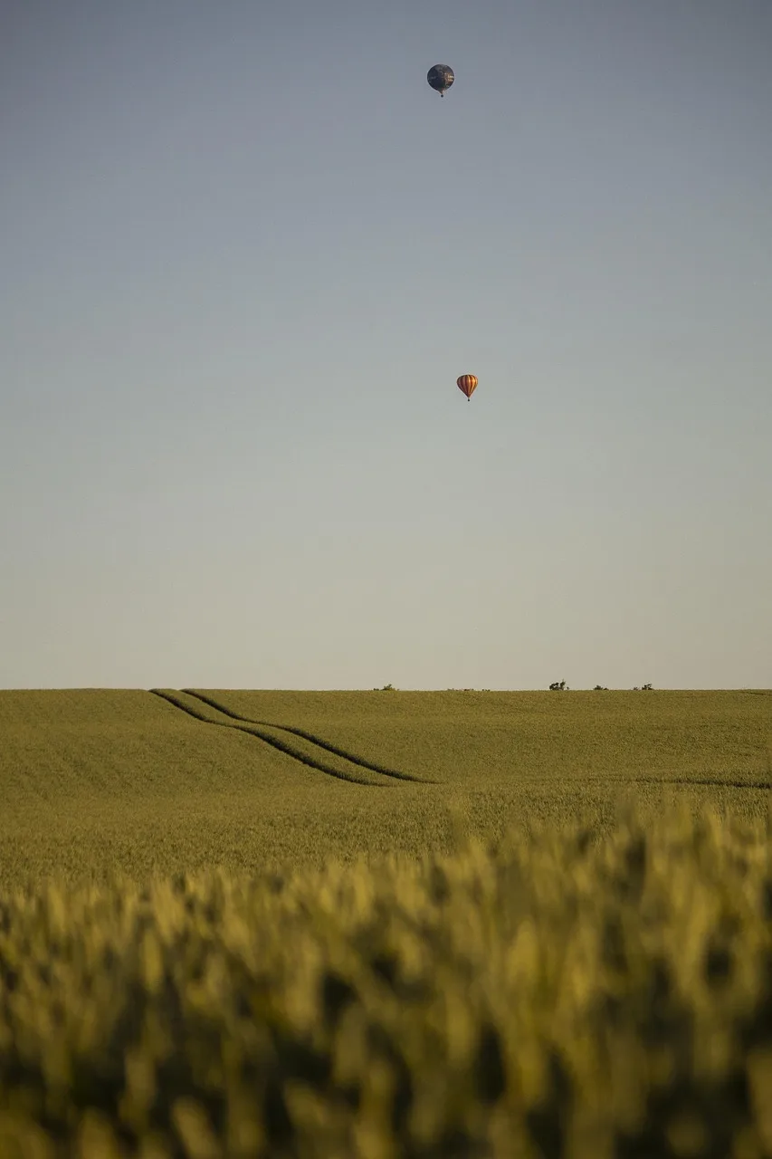 Yaz bahçesi balonlu açık alan fotoğrafı