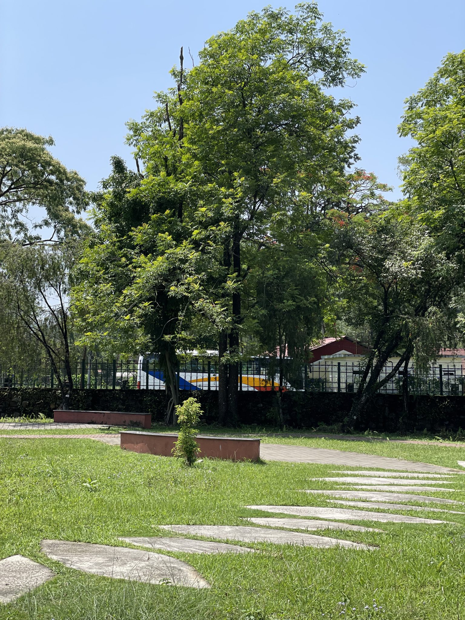 Yaz Gününde Yeşil Parkta Taş Yürüyüş Yolu ve Bol Ağaçlı Manzara