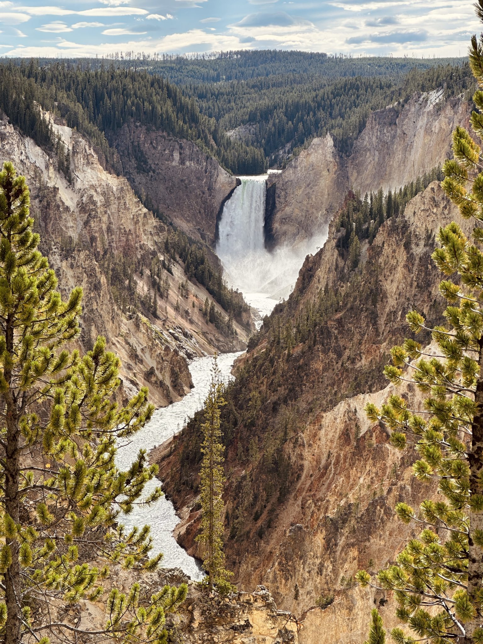 Yellowstone Büyük Kanyonu'ndaki Görkemli Şelale ve Vadi Manzarası