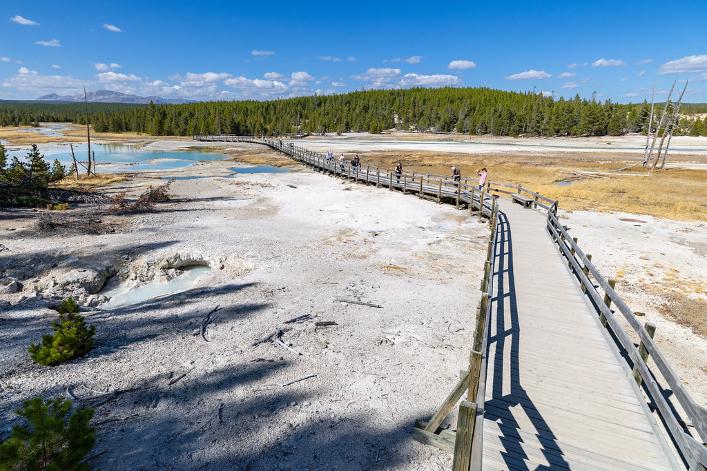 yellowstone milli parkında jeotermal havuzlar ve uzanan ahşap yürüyüş yolu