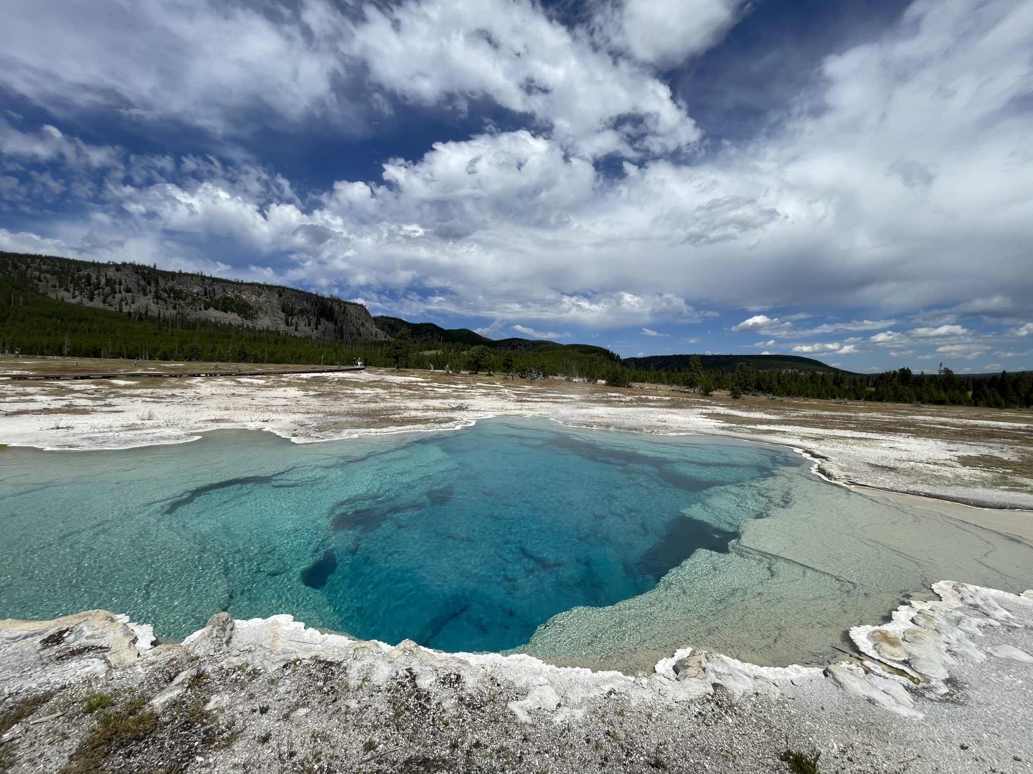Yellowstone Vadisinde Berrak Turkuaz Termal Havuz ve Orman Manzarası