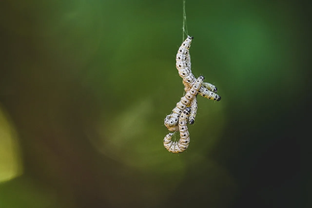 Yeşil arka planlı larva makro fotoğrafı - detay