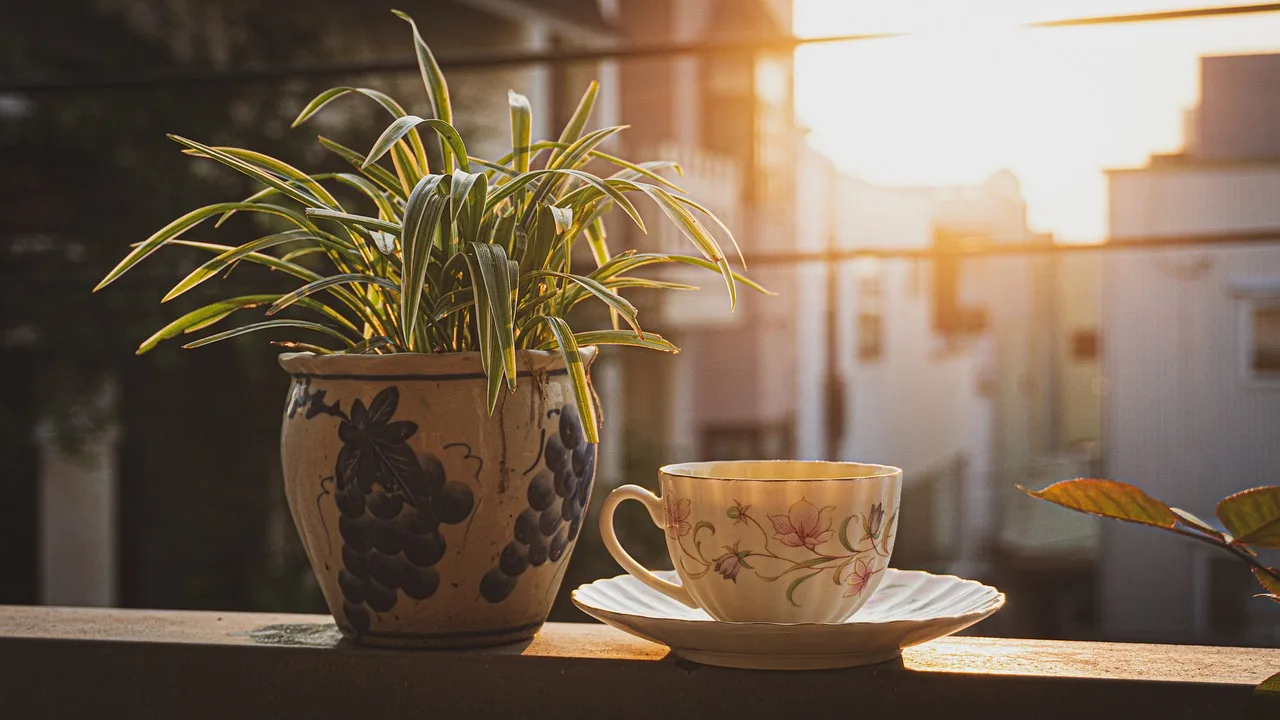 Yeşil çay bardağı balkon sabahı