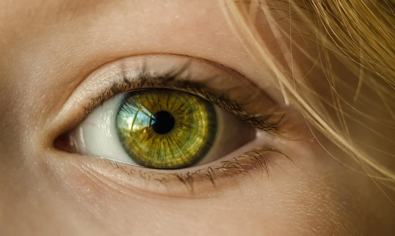 Yeşil irisli genç kızın makro göz fotoğrafı Yeşil irisli genç kızın makro göz fotoğrafı