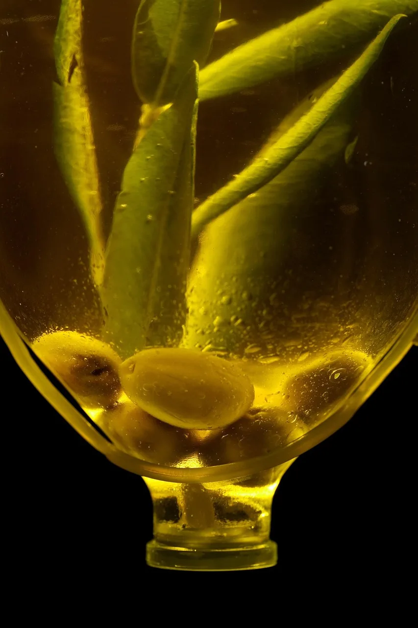 Yeşil zeytin yaprağı serin dolu şişe portresi