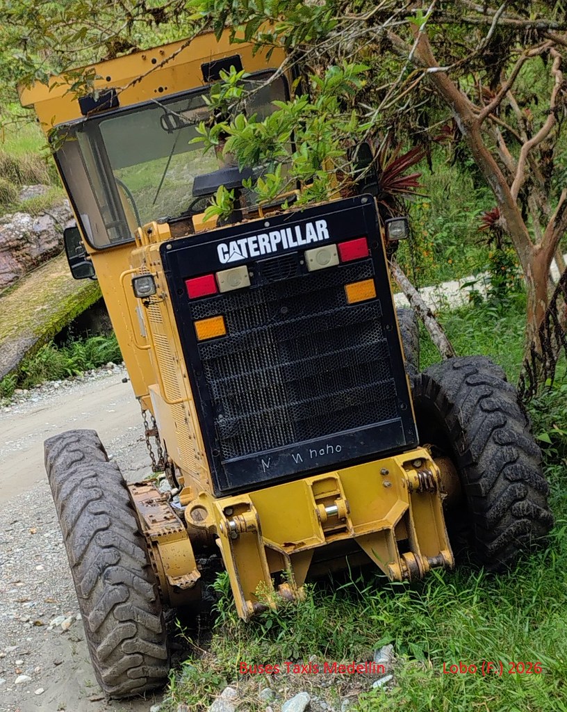 Yeşilliklerle Çevrili Kırsal Yolda Duran Sarı Caterpillar İş Makinesi