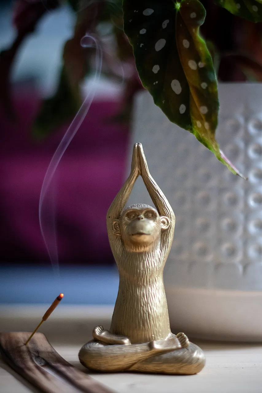 Yoga yapan maymun – tütsü ve lotus pozisyonu