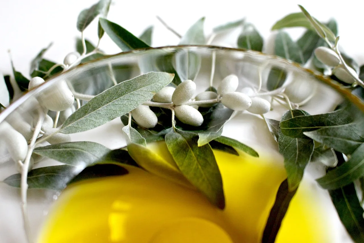 Zeytin dalı ve yeşil zeytin bahçesi - Akdeniz lezzeti