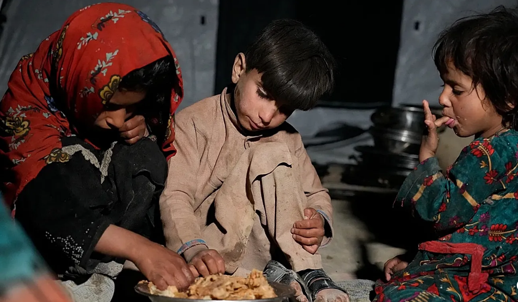 Afganistan'da kış ayında 19,2 milyon kişi gıda kriziyle karşı karşıya kalabilir
