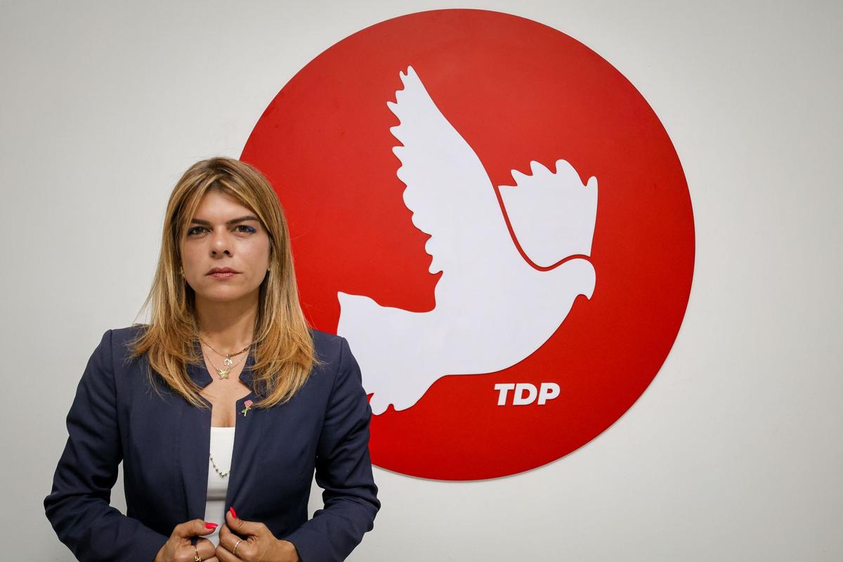 TDP, kamu görevlilerinin gazetecilere açıklık yükümlülüğünü vurguladı