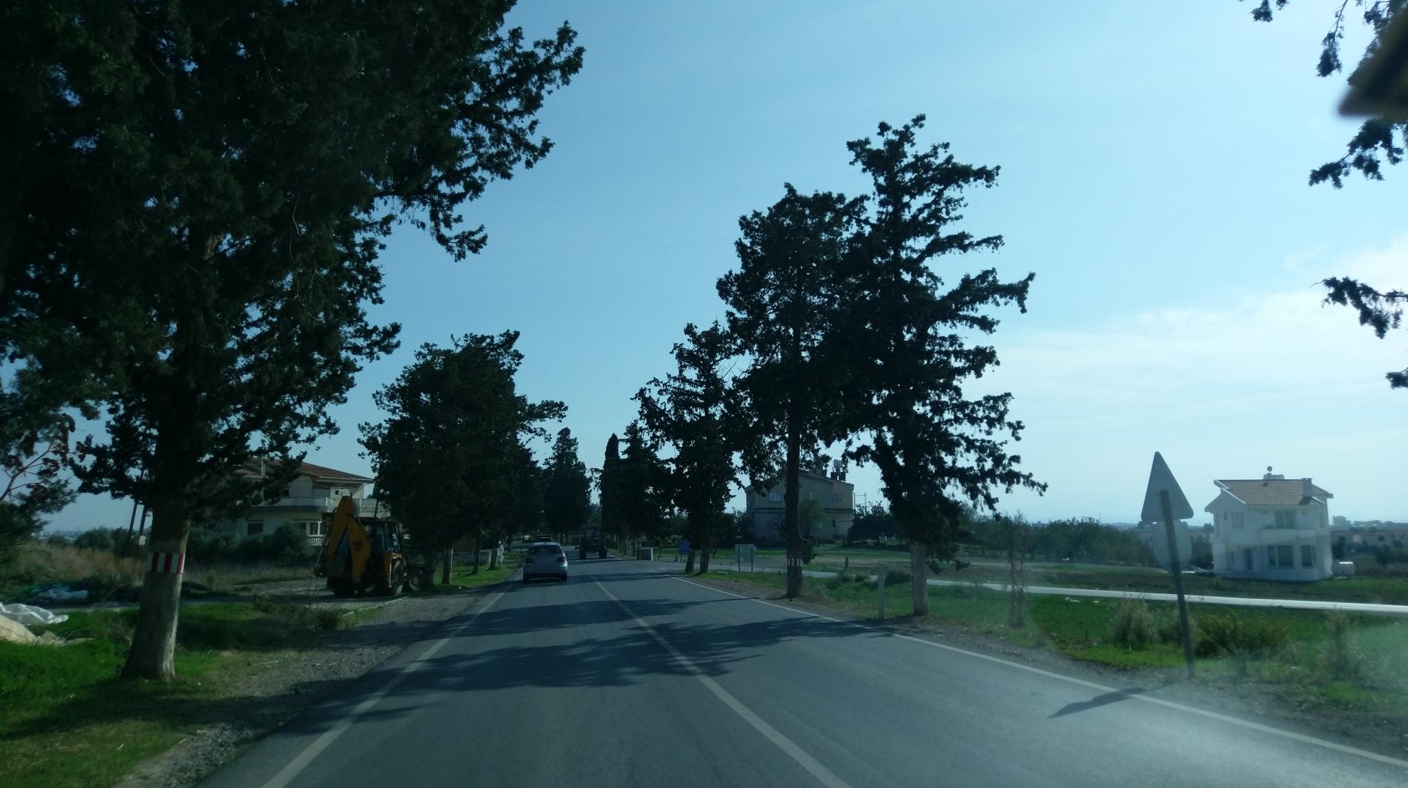 Kuşappi