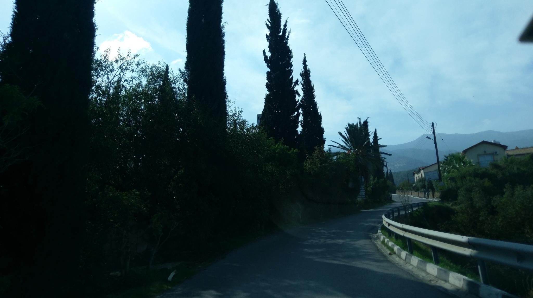 Yeşil Sokak